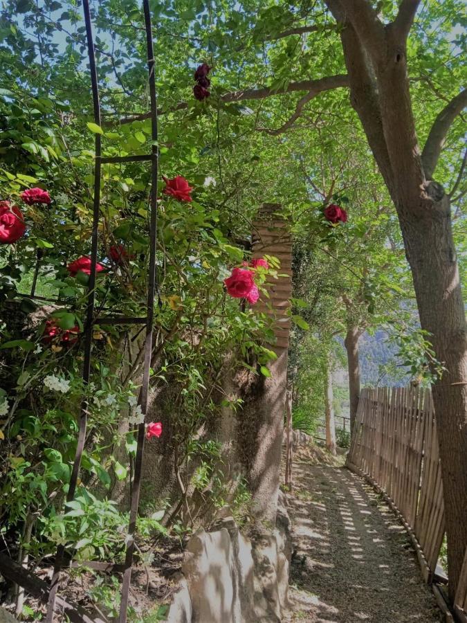 Alojamiento Macarena Burunchel Dış mekan fotoğraf