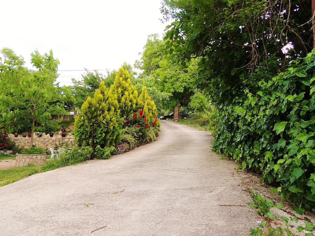 Alojamiento Macarena Burunchel Oda fotoğraf